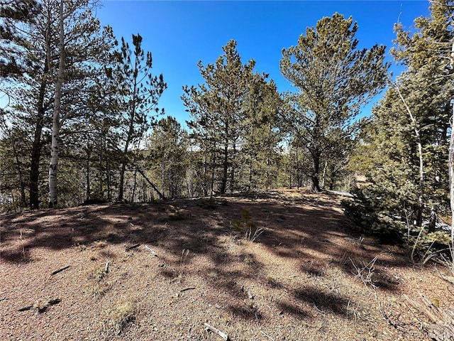 1601 May Queen Dr, Cripple Creek, CO 80813 - photo 10