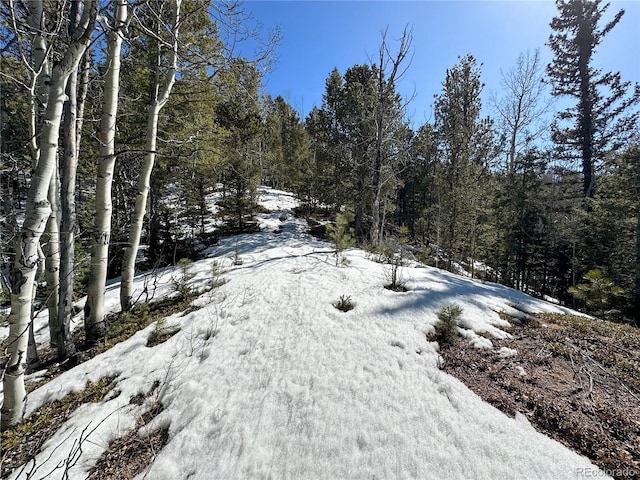 1601 May Queen Dr, Cripple Creek, CO 80813 - photo 13