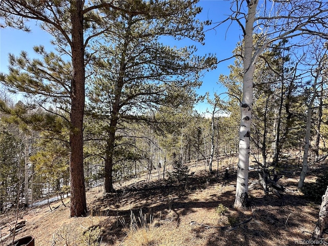 1601 May Queen Dr, Cripple Creek, CO 80813 - photo 15