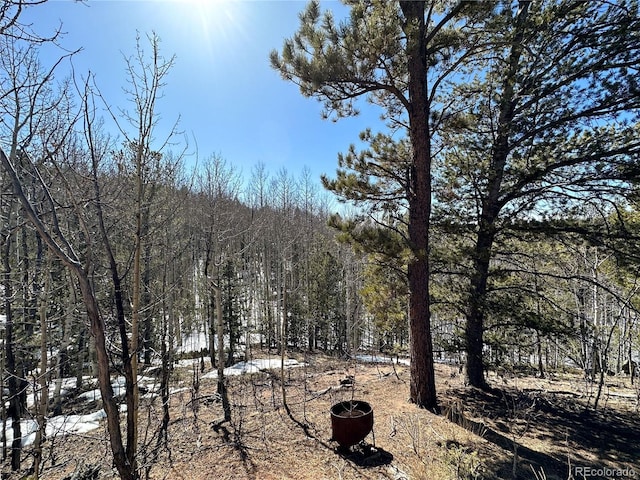 1601 May Queen Dr, Cripple Creek, CO 80813 - photo 16