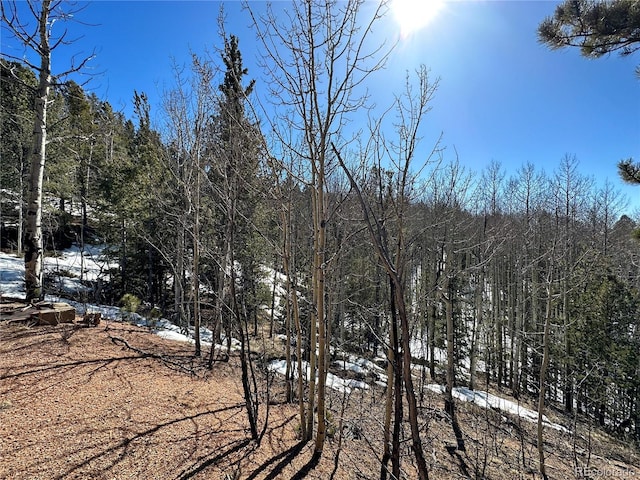 1601 May Queen Dr, Cripple Creek, CO 80813 - photo 17