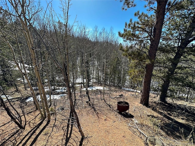 1601 May Queen Dr, Cripple Creek, CO 80813 - photo 18