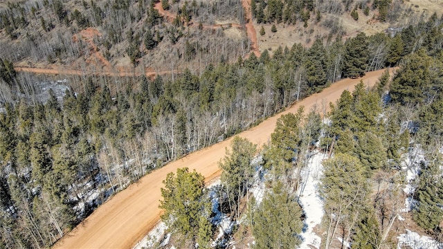 1601 May Queen Dr, Cripple Creek, CO 80813 - photo 19