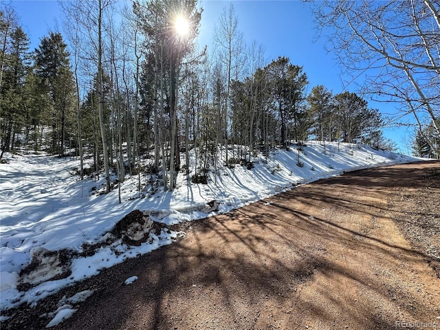 1601 May Queen Dr, Cripple Creek, CO 80813 - photo 21