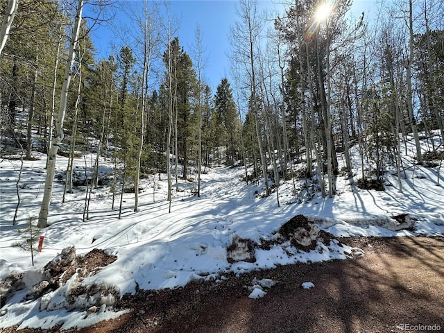 1601 May Queen Dr, Cripple Creek, CO 80813 - photo 22