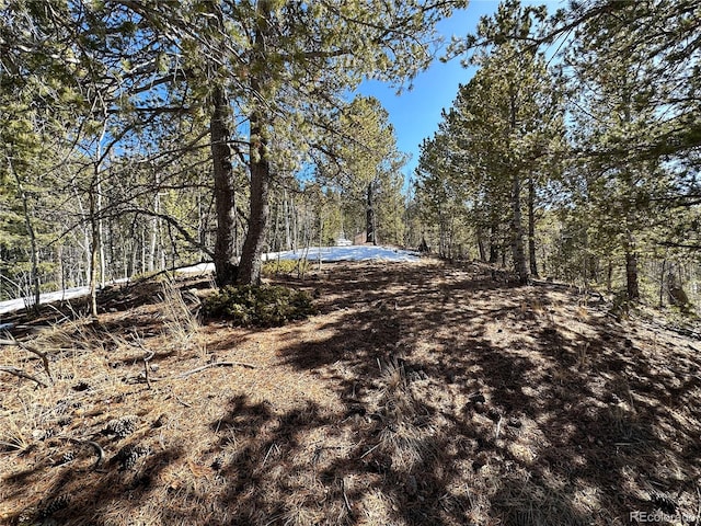 1601 May Queen Dr, Cripple Creek, CO 80813 - photo 23