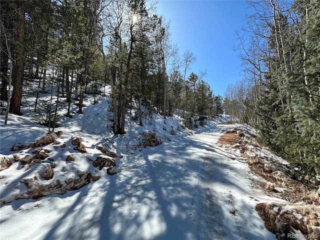 1601 May Queen Dr, Cripple Creek, CO 80813 - photo 24