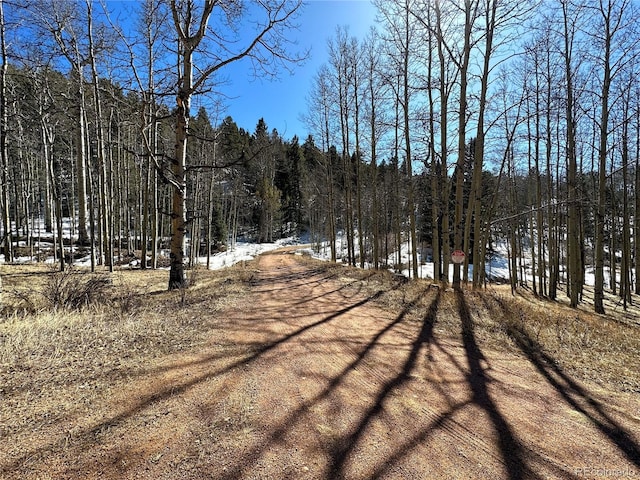 1601 May Queen Dr, Cripple Creek, CO 80813 - photo 25