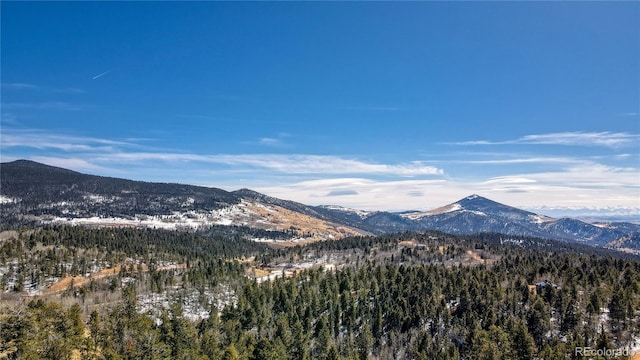1601 May Queen Dr, Cripple Creek, CO 80813 - photo 26