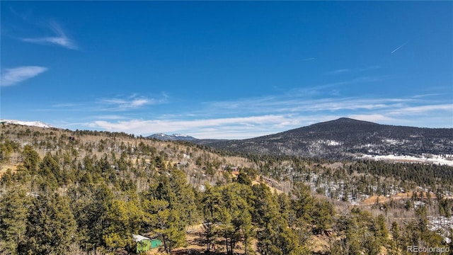 1601 May Queen Dr, Cripple Creek, CO 80813 - photo 27