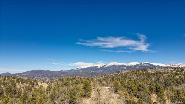 1601 May Queen Dr, Cripple Creek, CO 80813 - photo 28