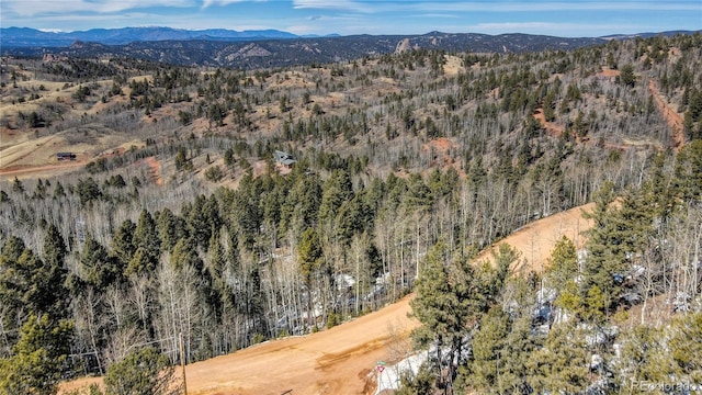 1601 May Queen Dr, Cripple Creek, CO 80813 - photo 29