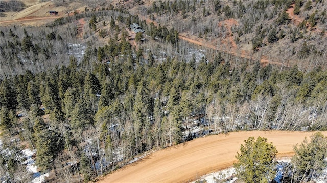 1601 May Queen Dr, Cripple Creek, CO 80813 - photo 30