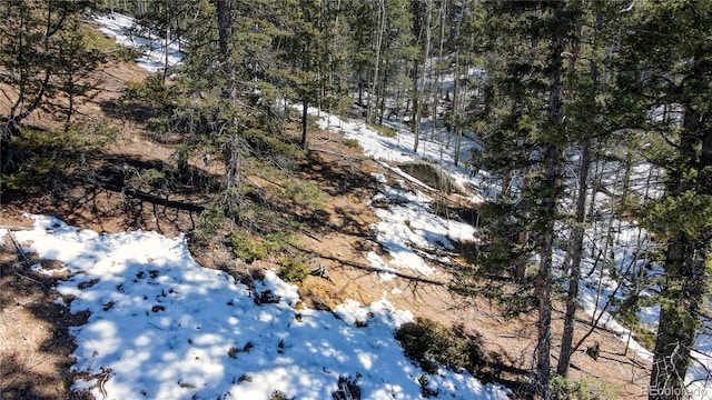 1601 May Queen Dr, Cripple Creek, CO 80813 - photo 31