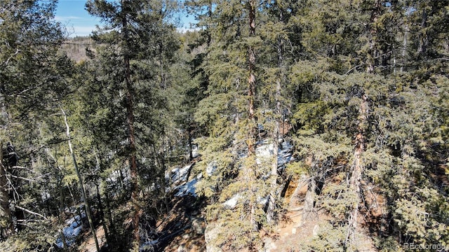 1601 May Queen Dr, Cripple Creek, CO 80813 - photo 32
