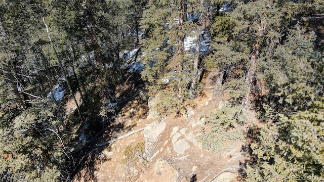 1601 May Queen Dr, Cripple Creek, CO 80813 - photo 33