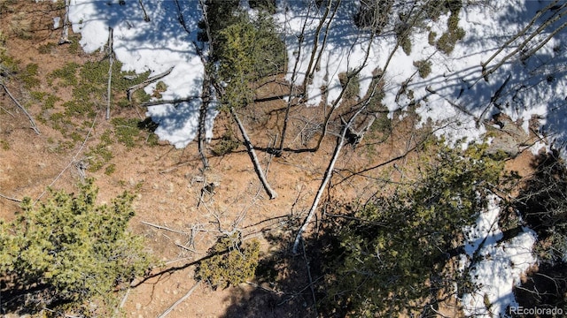 1601 May Queen Dr, Cripple Creek, CO 80813 - photo 34