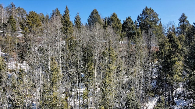 1601 May Queen Dr, Cripple Creek, CO 80813 - photo 35
