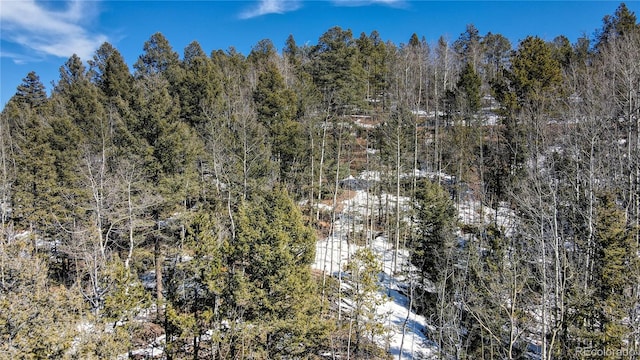 1601 May Queen Dr, Cripple Creek, CO 80813 - photo 36