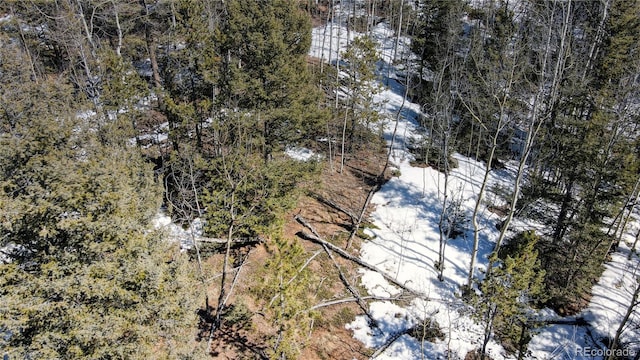 1601 May Queen Dr, Cripple Creek, CO 80813 - photo 37
