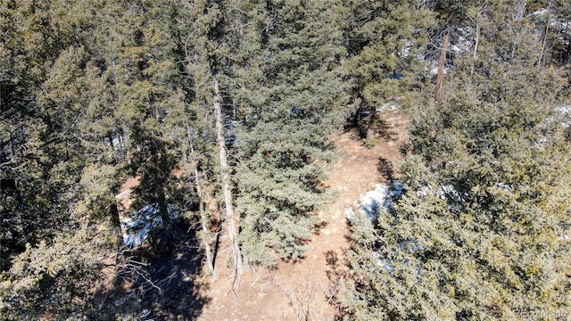 1601 May Queen Dr, Cripple Creek, CO 80813 - photo 38