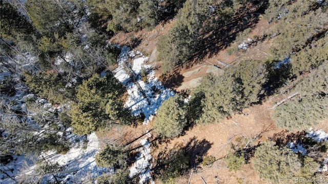 1601 May Queen Dr, Cripple Creek, CO 80813 - photo 39
