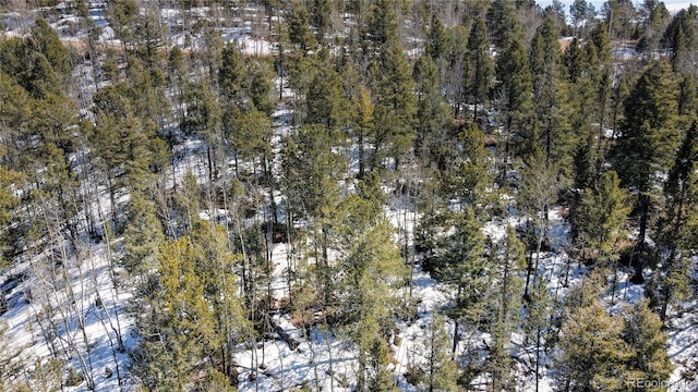 1601 May Queen Dr, Cripple Creek, CO 80813 - photo 40