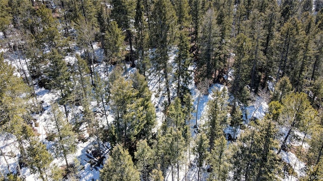1601 May Queen Dr, Cripple Creek, CO 80813 - photo 42