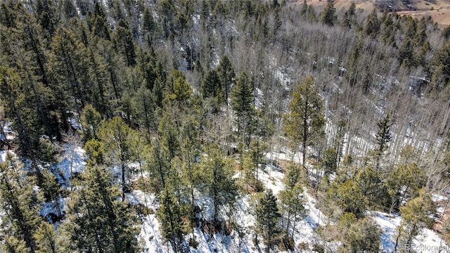 1601 May Queen Dr, Cripple Creek, CO 80813 - photo 43