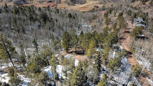 1601 May Queen Dr, Cripple Creek, CO 80813 - photo 44