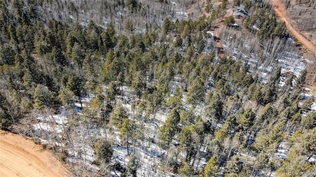 1601 May Queen Dr, Cripple Creek, CO 80813 - photo 45