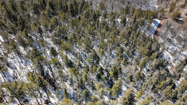 1601 May Queen Dr, Cripple Creek, CO 80813 - photo 46