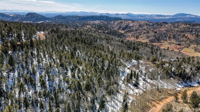 1601 May Queen Dr, Cripple Creek, CO 80813 - photo 48