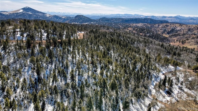 1601 May Queen Dr, Cripple Creek, CO 80813 - photo 49