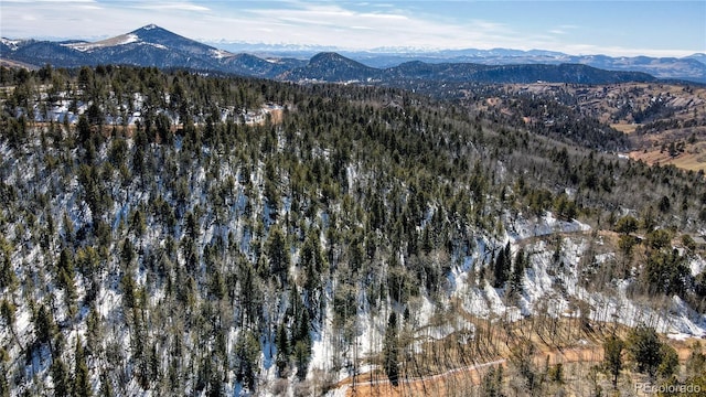 1601 May Queen Dr, Cripple Creek, CO 80813 - photo 50