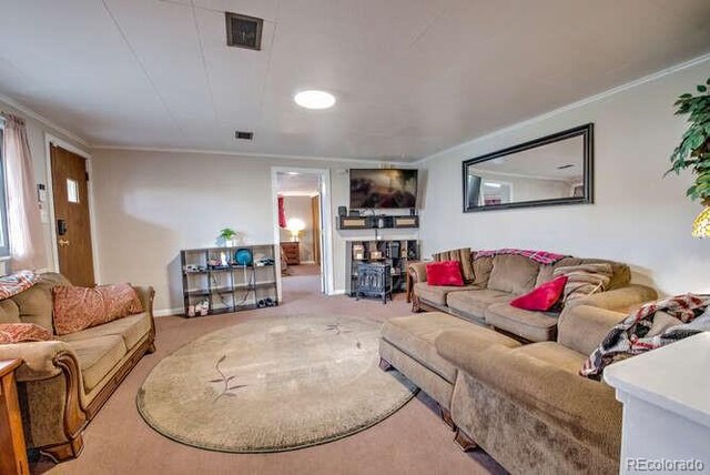 206 Chestnut St, Leadville, CO 80461 - photo 6