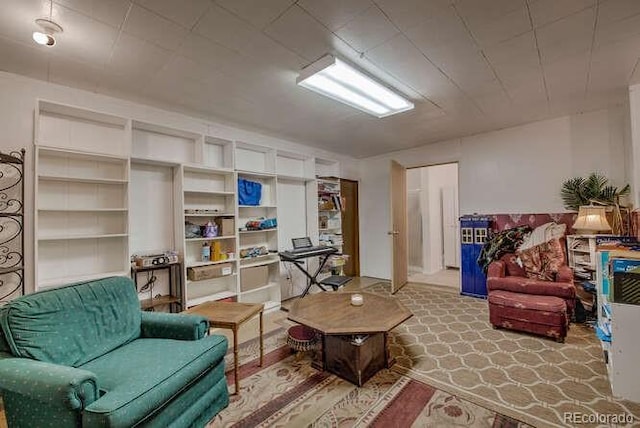 206 Chestnut St, Leadville, CO 80461 - photo 20