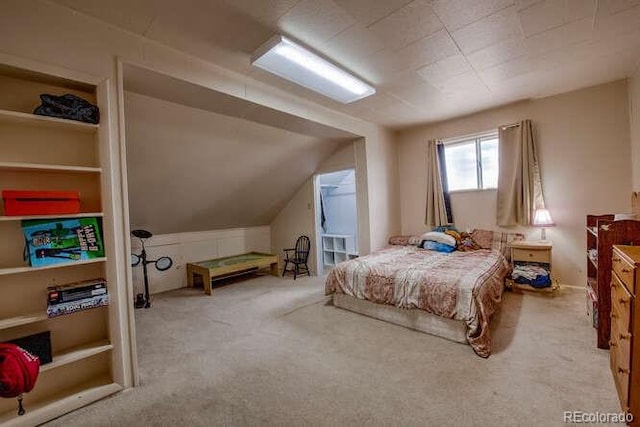206 Chestnut St, Leadville, CO 80461 - photo 22