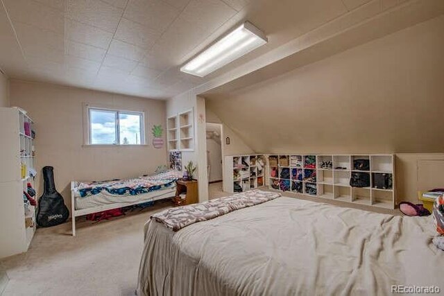 206 Chestnut St, Leadville, CO 80461 - photo 23