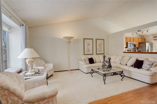 living room with a textured ceiling, light hardwood / wood-style flooring, track lighting, and vaulted ceiling