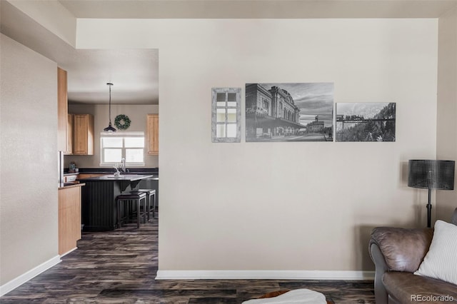 interior space featuring dark hardwood / wood-style flooring and sink