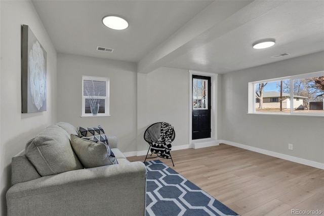 living room with light hardwood / wood-style flooring