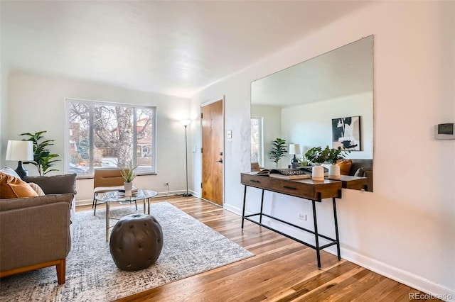 living room featuring light hardwood / wood-style flooring