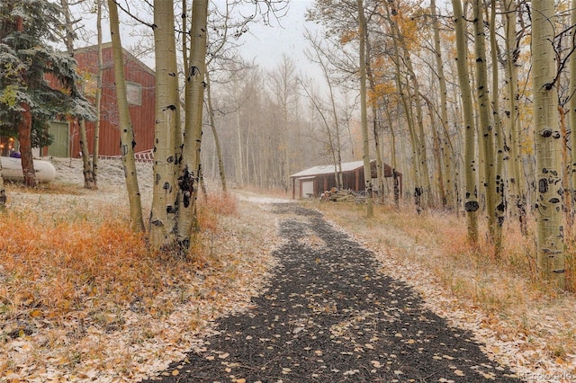 2720 S Spring Gulch Rd, Idaho Springs, CO 80452 - view of street with a view of trees