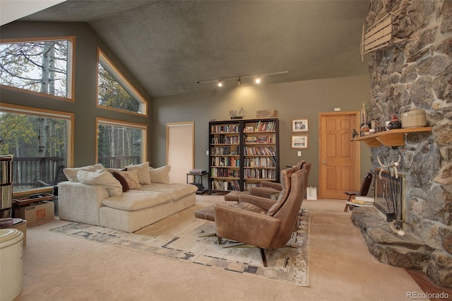 2720 S Spring Gulch Rd, Idaho Springs, CO 80452 - living room featuring carpet flooring, a stone fireplace, a textured ceiling, and a high ceiling