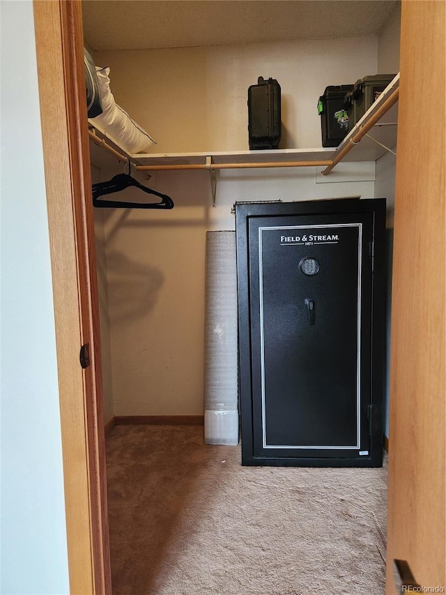 2720 S Spring Gulch Rd, Idaho Springs, CO 80452 - spacious closet with carpet