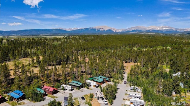 37 Sunshine Loop, Fairplay, CO 80440