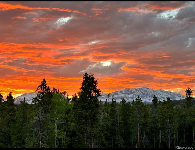 37 Sunshine Loop, Fairplay, CO 80440