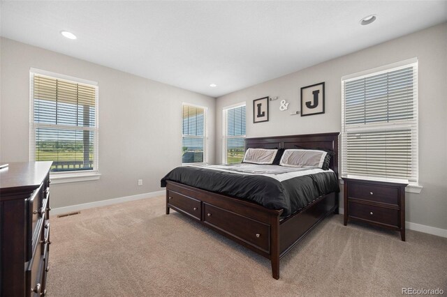398 Midden Pl, Castle Rock, CO 80104 - carpeted bedroom featuring baseboards and recessed lighting