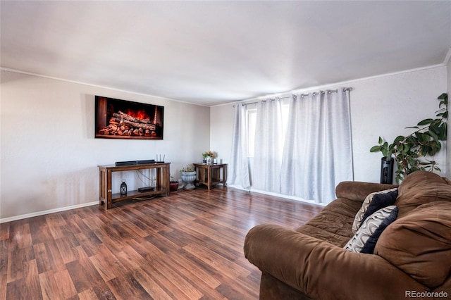 living room with dark wood-type flooring